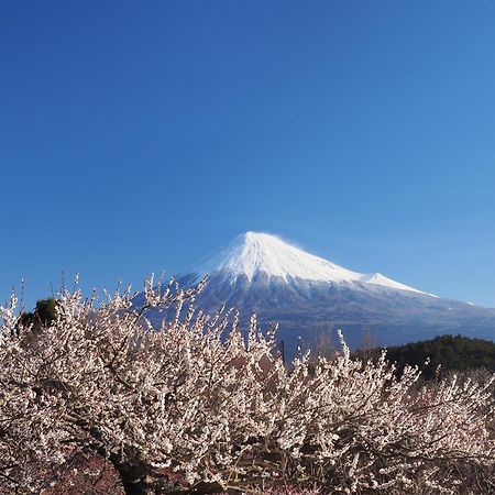 Temple Lodging Shukubo Kakurinbo Minobu Eksteriør billede