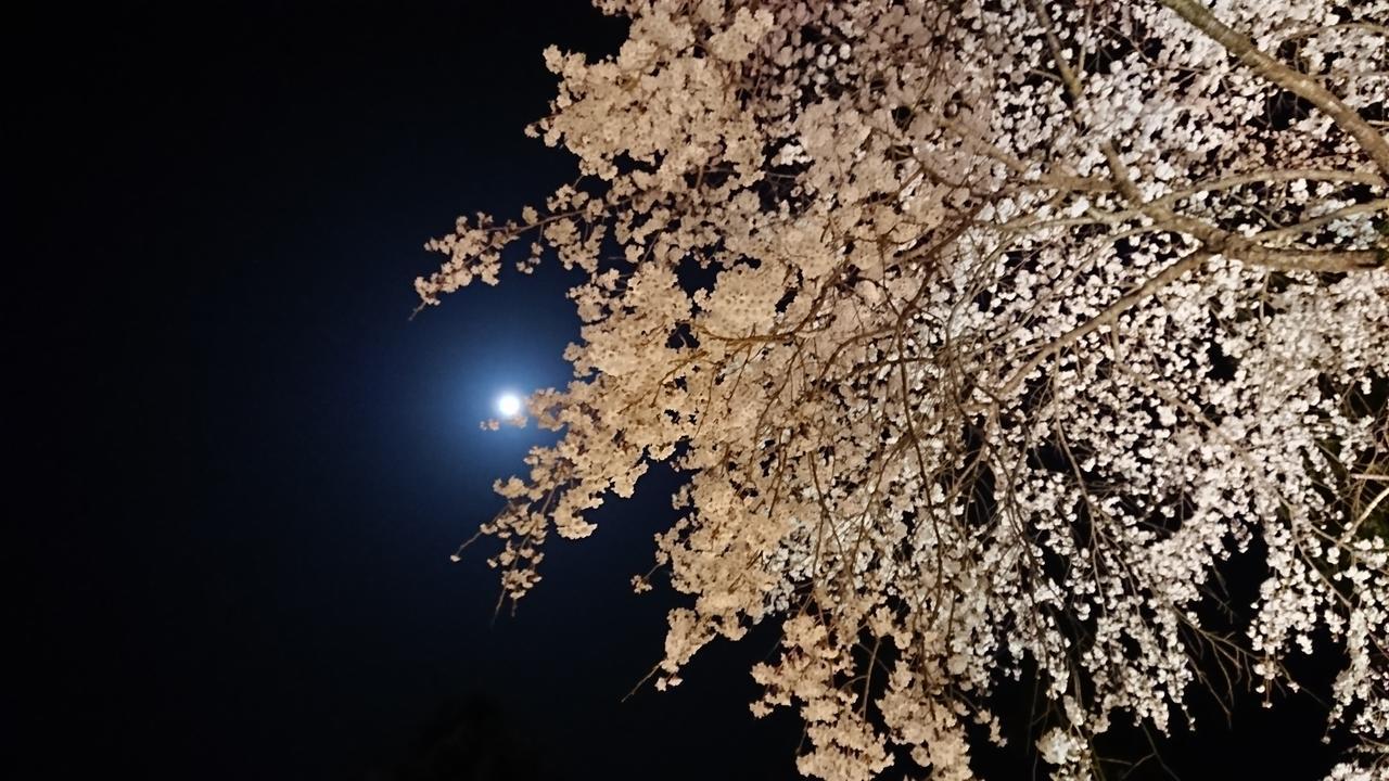 Temple Lodging Shukubo Kakurinbo Minobu Eksteriør billede